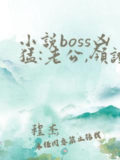 小说boss凶猛:老公,领证吧在线看