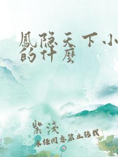 凤隐天下小说讲的什么