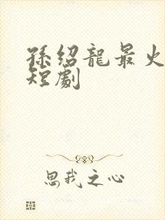 孙绍龙最火十部短剧