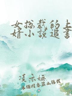 女总裁的上门女婿小说追书