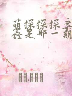 萌探探探案丁程鑫是哪一期