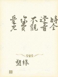 爱你不逢时短剧免费观看全集高清