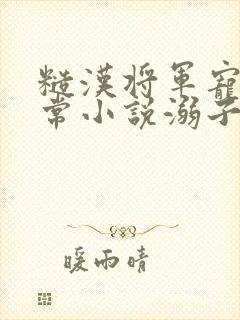 糙汉将军宠妻日常小说溺子戏