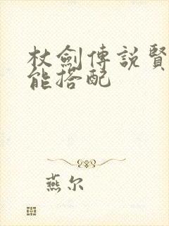 杖剑传说贤者技能搭配