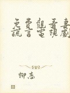 免费观看妻子的谎言电视剧