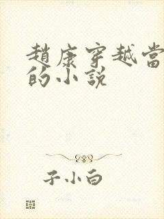 赵康穿越当县令的小说