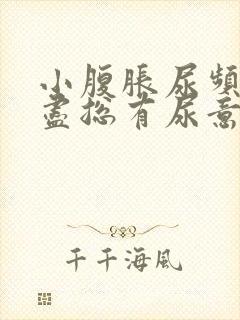 小腹胀尿频尿不尽总有尿意