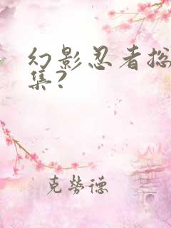 幻影忍者总共几集?