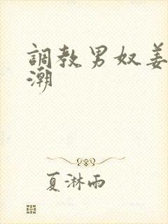 调教男奴姜刑高潮