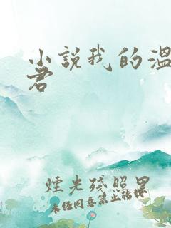小说我的温柔暴君