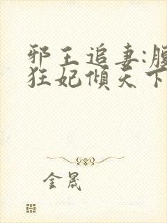 邪王追妻:腹黑狂妃倾天下