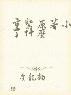 重紫原著小说讲了什么