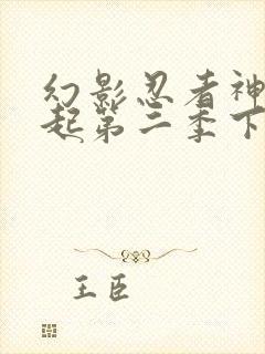 幻影忍者神龙崛起第二季下半部分