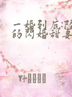 一婚到底:陆少的闪婚甜妻
