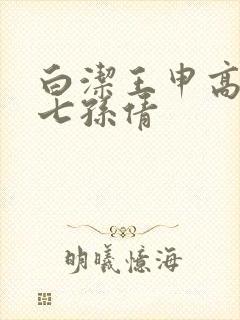 白洁王申高义老七孙倩