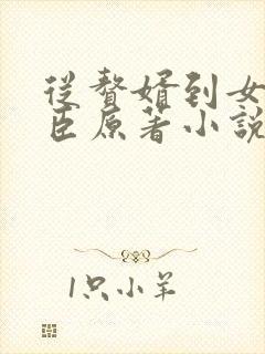 从赘婿到女帝宠臣原著小说