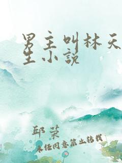 男主叫林天的重生小说