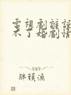 电视剧谁说我结不了婚剧情介绍