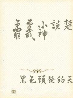 免费小说楚枫修罗武神