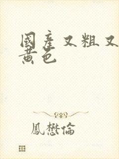 国产又粗又猛又黄色