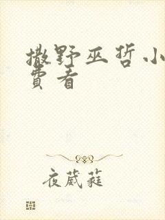 撒野巫哲小说免费看