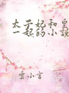 太子妃和皇上在一起的小说