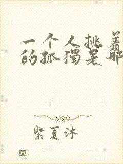 一个人挑着孤单的孤独是哪首歌