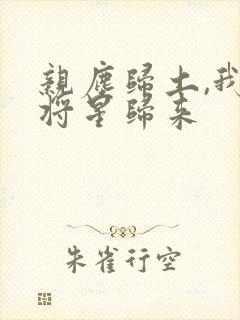 亲尘归土,我以将星归来