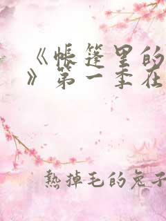 《帐篷里的秘密》第一季在线播放