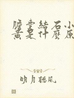 胆囊结石小便发黄是什么原因