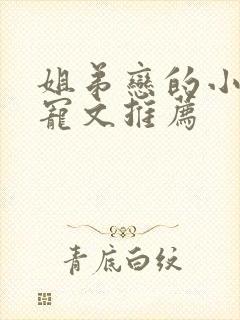 姐弟恋的小说甜宠文推荐