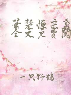 萧楚恒宋鸢小说全文免费阅读