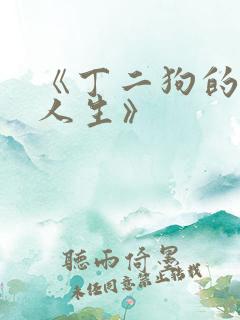 《丁二狗的逆袭人生》