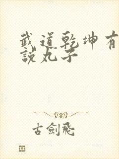 武道乾坤有声小说丸子