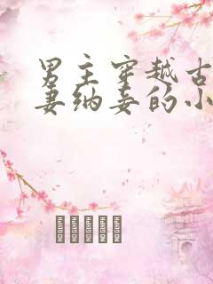 男主穿越古代娶妻纳妾的小说