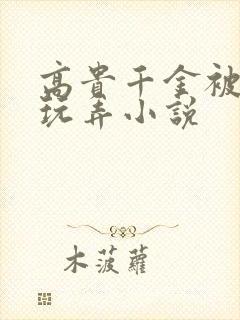 高贵千金被调教玩弄小说