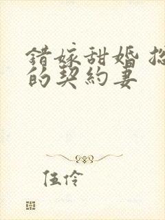 错嫁甜婚 总裁的契约妻