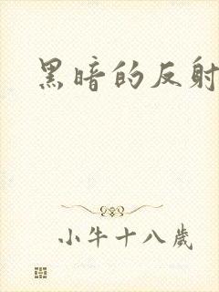 黑暗的反射在线