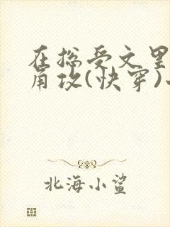 在总受文里抢主角攻(快穿)小说