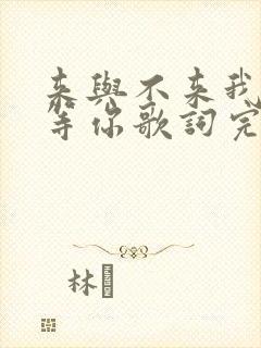 来与不来我都在等你歌词完整版