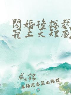 闪婚后总裁把我宠上天短剧