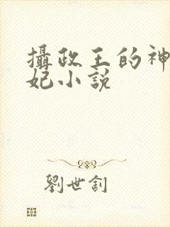 摄政王的神医狂妃小说