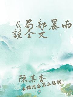 《局部暴雨》小说全文