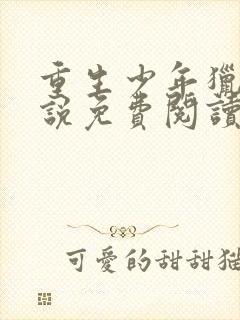 重生少年猎美小说免费阅读