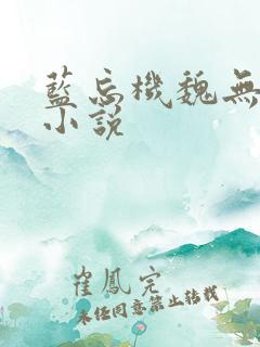 蓝忘机魏无羡的小说