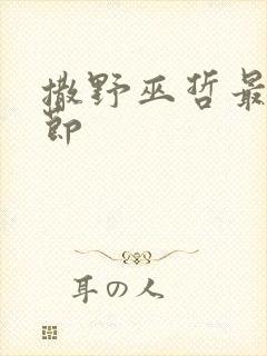 撒野巫哲最新章节