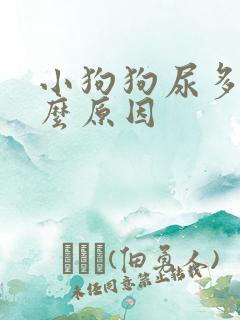 小狗狗尿多是什么原因