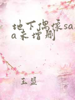 地下偶像sana未增删