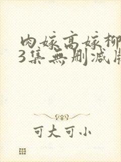 肉嫁高嫁柳嫁家3集无删减版