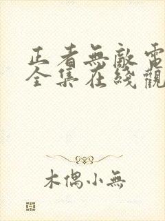 正者无敌电视剧全集在线观看免费